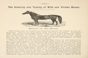 Eine Zeichnung eines stehenden Pferdes mit einem wilden Ausdruck und der Beschriftung "Das Brechen und Zähmen wilder und bösartiger Pferde".
