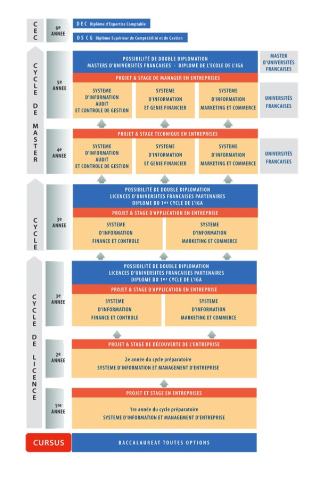 Diagramm, das die organisatorische Struktur eines Unternehmens mit interconnected boxes darstellt, die verschiedene Stufen des Geschäfts growths and developments repräsentieren, begleitet von beschreibendem Text.