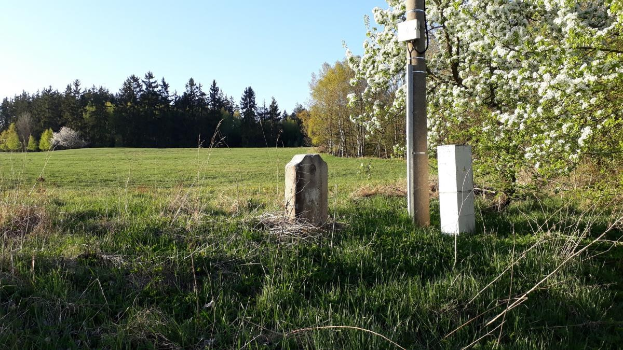 Eine grüne Wiese mit einem zentralen Baum, umgeben von anderen Bäumen unter einem klaren blauen Himmel, mit einem Pfahl und zwei Betonblöcken im Vordergrund, wahrscheinlich Teil eines Denkmals.