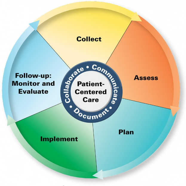 Kreisförmige Diagramm mit der Überschrift "patientenorientierte Betreuung" und vier farbigen Abschnitten, die jeweils mit einem spezifischen Aspekt der Betreuung beschriftet sind.