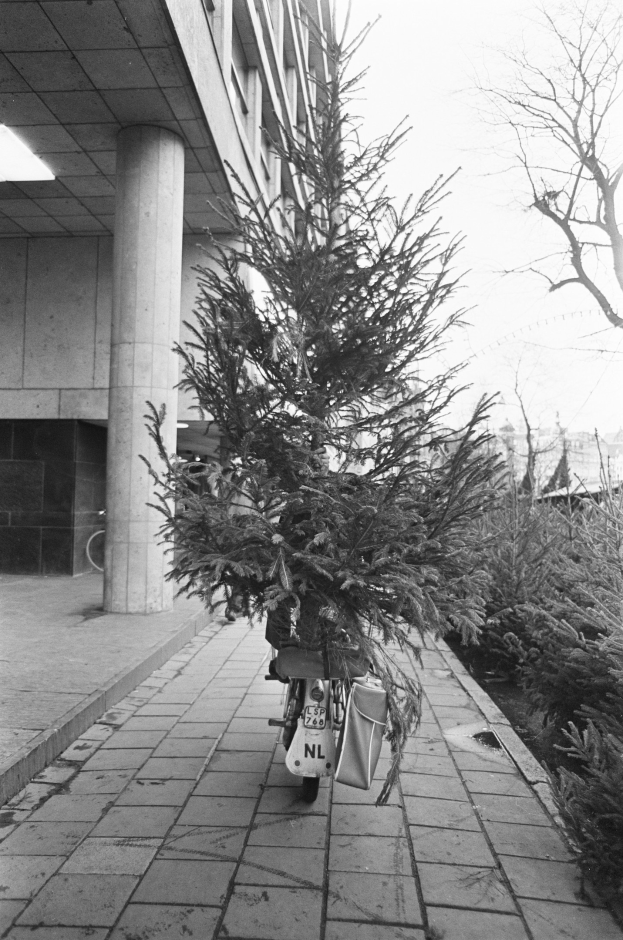 Ein Schwarz-Weiß-Foto eines Fahrrads mit einem Weihnachtsbaum auf dem Rücken, das vor einem Gebäude mit Säulen und Deckenbeleuchtung geparkt ist, mit Pflanzen rechts und Gebäuden und Himmel im Hintergrund.