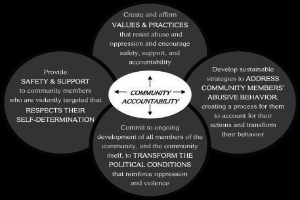 Ein Diagramm mit der Bezeichnung "Gemeinschaftliche Rechenschaftspflicht" mit drei miteinander verbundenen Kreisen um einen zentralen Kreis, alles in leuchtenden Farben mit fetter Schrift.