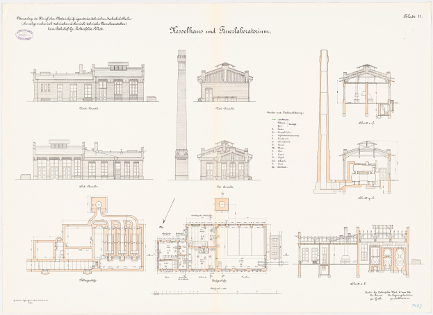 Humboldt Forum feiert 5. Geburtstag