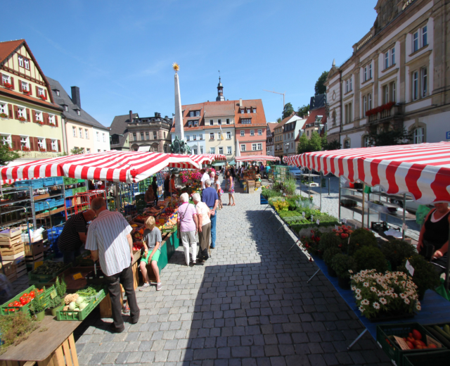Ein belebter Markt im alten Stadtkern von Heidelberg mit Menschen, die gehen, auf Bänken sitzen und in der Nähe von Zelten stehen, mit Gemüsekörben auf Tischen, Gebäuden mit Fenstern, Bäumen und einem klaren blauen Himmel im Hintergrund.