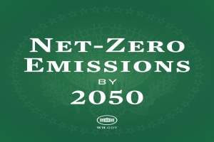 Weißer fetter Text "netto-null-Emissionen bis 2050" auf einem festen grünen Hintergrund.