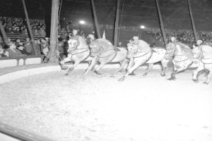 Schwarzes und weißes Foto von Pferden, die in einer Manege laufen, mit Zuschauern auf der linken Seite und Polen und Lichtern im Hintergrund.