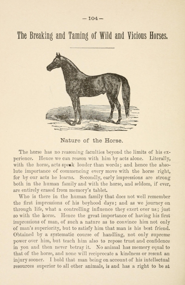 Ein Blatt Papier mit einer Zeichnung eines aufgerichteten Pferdes mit wildem Ausdruck und wehender Mähne und Schweif, begleitet von fetter Schrift, die "Das Zähmen und Brechen von Wilden und Bösen Pferden" lautet.