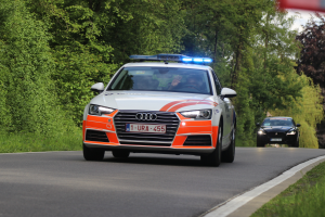Ein Audi A4 Polizeiwagen fährt auf einer von Gras gesäumten Straße entlang, flankiert von einem Wald, mit zwei Insassen darunter einem klaren blauen Himmel.