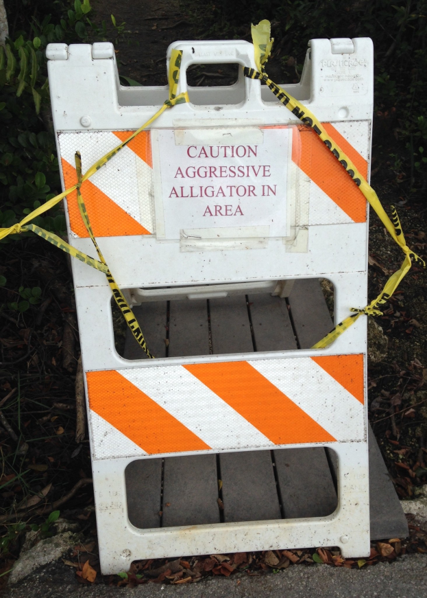 Wenn Pflanzen den Straßenverkehr gefährden: Wer ist wo in Bremen verantwortlich?