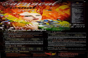 Eine Frau in einem bunten Kleid, die lächelt, umgeben von der fetten Schrift "Carnaval Festival 2014" auf einem leuchtend gelben Hintergrund.