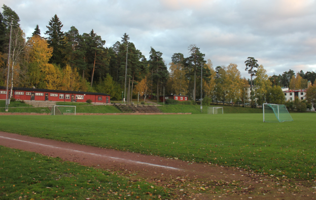 Ein Fütballfeld mit grünem Gras, verstreuten trockenen Blättern und einem Torpfosten, umgeben von Bäumen, Häusern, Masten, Stufen, Geländern und einem bewölktem Himmel.