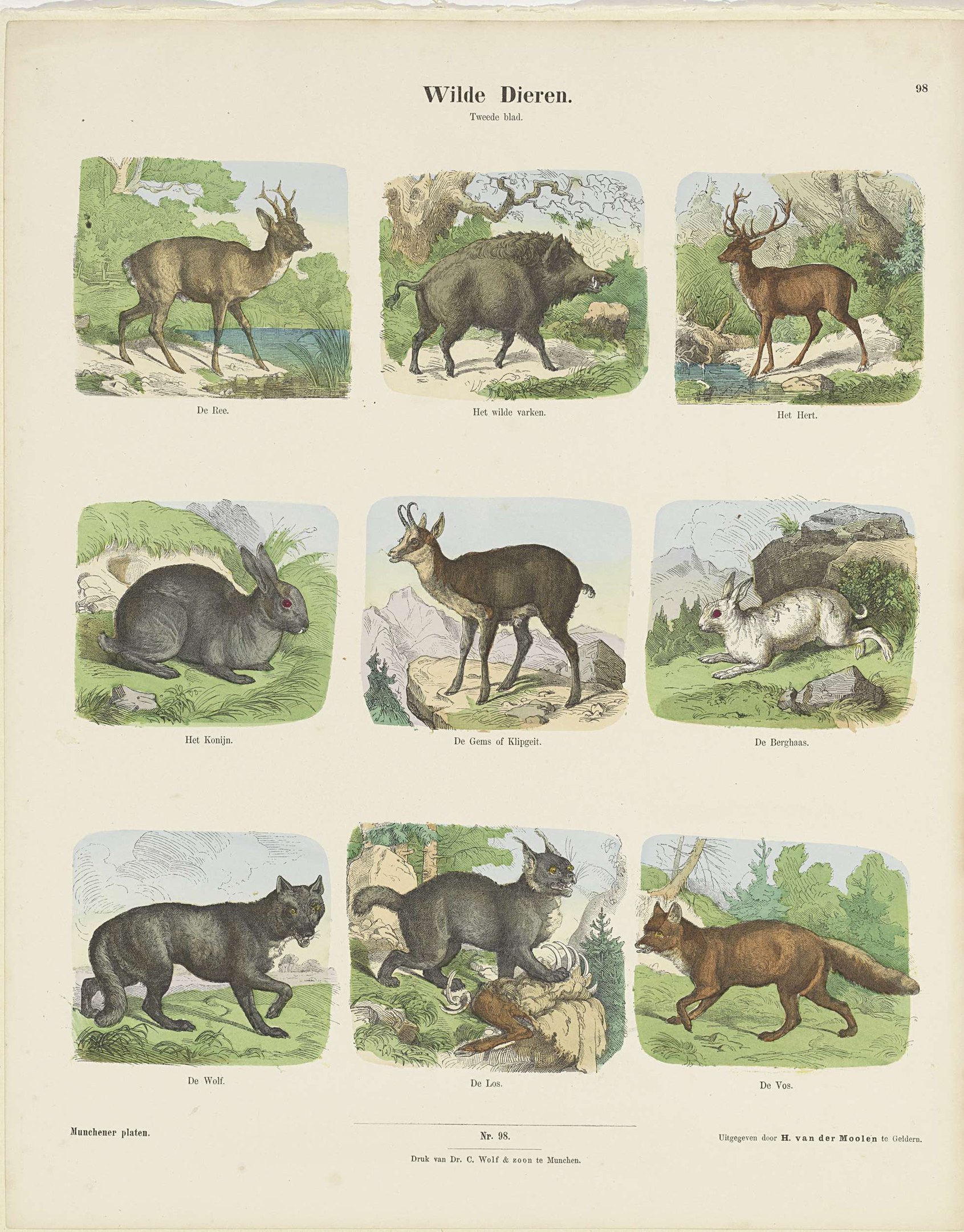 Ein Buchumschlag mit Illustrationen von Wildtieren wie einem Reh und einem Hasen, mit sichtbarem Text auf dem Papier.