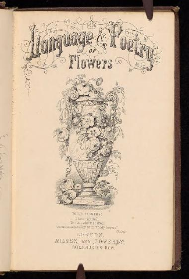 Offenes Buch mit dem Titel "Sprache und Poesie der Blumen" (Milner und Sowerby, 1867) zeigt eine Zeichnung einer Vase mit Blumen auf dunklem Hintergrund.