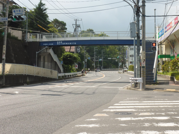 Eine Stadtstraße mit einer Fußgängerbrücke darüber, Fahrzeuge auf der Straße, Strommasten mit Drähten, Verkehrsampeln, Schilder, Gebäude mit Fenstern, Bäume, Pflanzen und ein Himmel im Hintergrund.